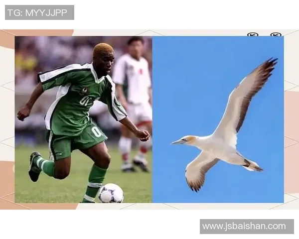 球星们的绰号背后：揭开那些足球巨星独特外号的秘密与故事