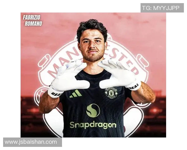 威尔士足球五大联赛球星风采盘点：从巨星到新星的崛起与挑战